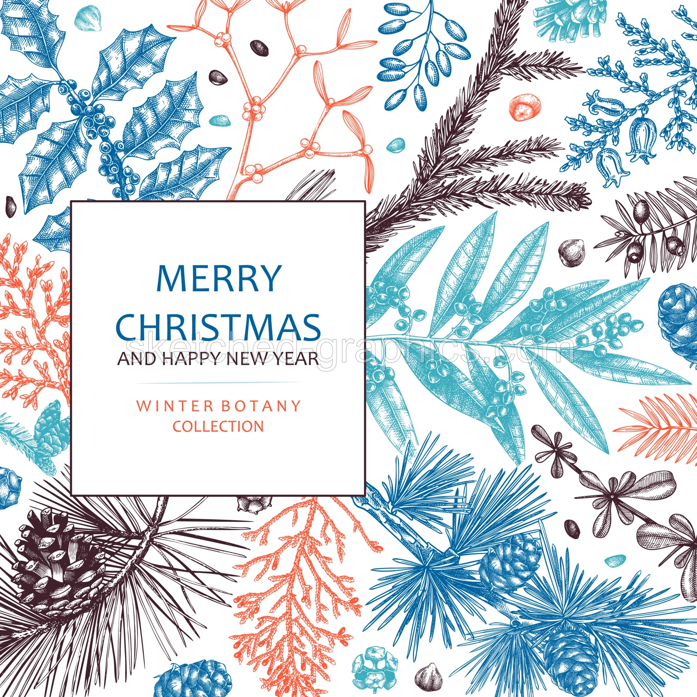 Merry Christmas card in color. Vector frame with evergreen plants, conifers, and nuts drawing. Winter design with hand-drawn botanical illustrations. Christmas background, New Year invitation template Illustration